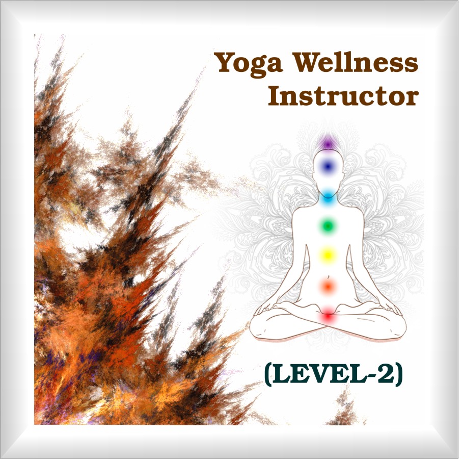 YOGA WELLNESS INSTRUCTOR